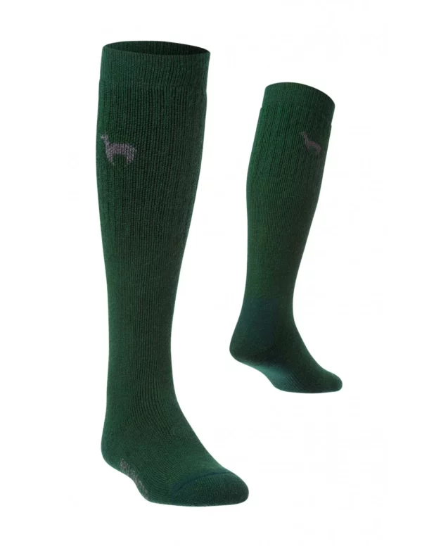 Jagdsocken Damen und Herren grün