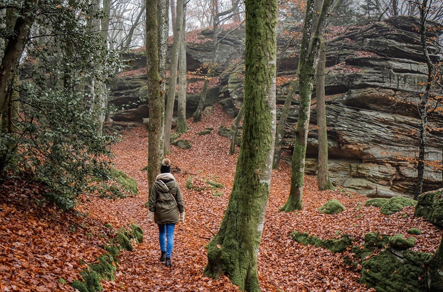 Herbstsocken aus Alpaka Wandern