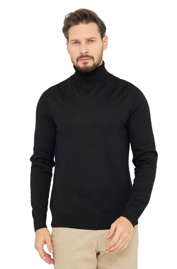 Seide Rollkragenpullover